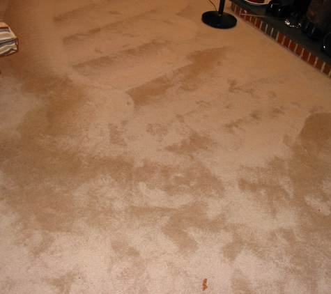 Executive Restoration - Mint Hill, NC. Carpet Cleaning?