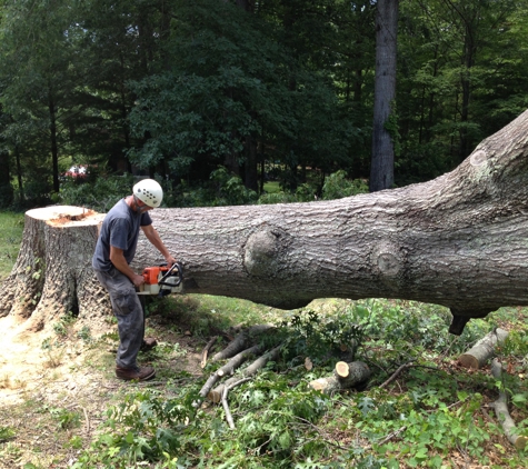 Satisfaction Tree Service - Salem, VA