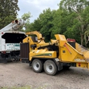 Diversified Tree Service - Tree Service
