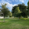 Manhattan Beach gallery