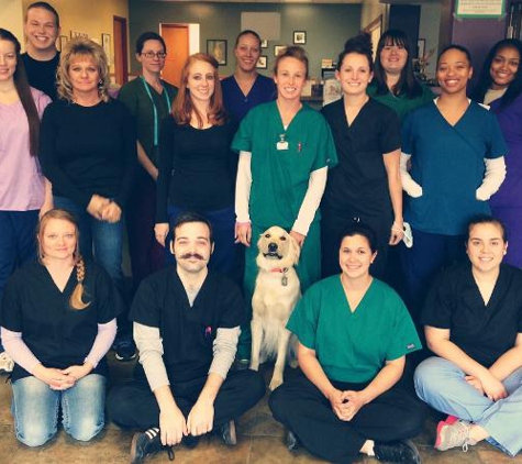 Broadview Animal Clinic - Denver, CO