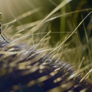 Pioneer Pest Management - Pest Control Equipment & Supplies
