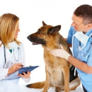 Grand Valley Veterinary Emergency Center - Veterinarians