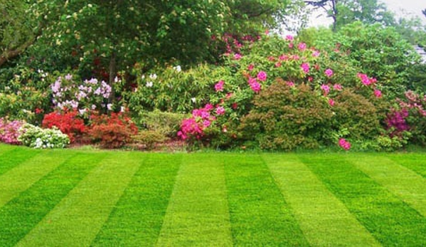 Classic Lawn & Tree - Maryville, TN