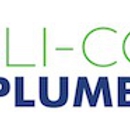 ALI-COR Plumbing - Water Heaters