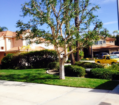 Santiago Tree Service - Escondido, CA