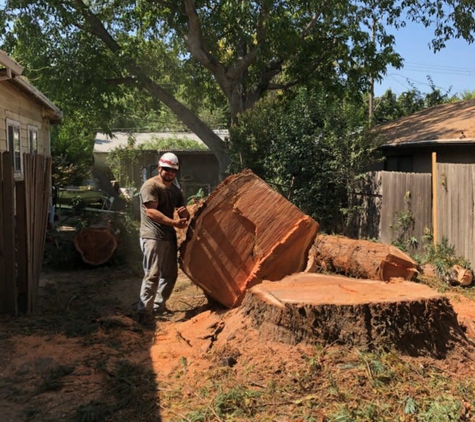 Horizon Professional Tree Management