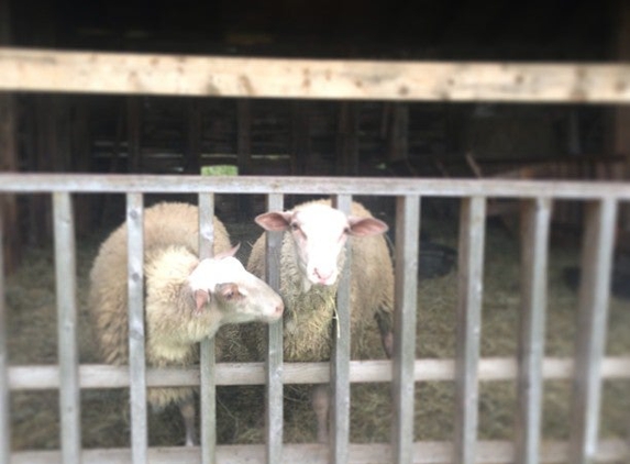 Dancing Ewe Farm - Granville, NY