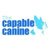 The Capable Canine gallery