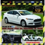VIP Auto Group Inc