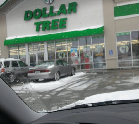 Dollar Tree - Waterloo, IA