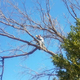 True Care Services - Lubbock, TX. Cutting broken branch 55ft above street.
