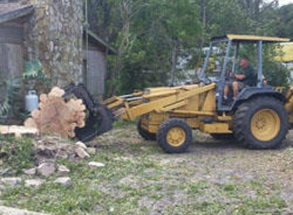 JW Tree Work Inc. - Lakeland, FL