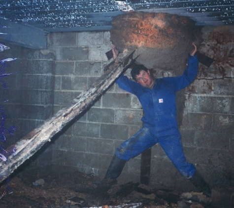 North Sydney Pest Management