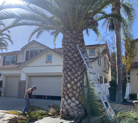 JA Castellanos Landscaping - Hemet, CA