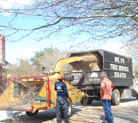 D's Tree & Stump Removal Mr - Baton Rouge, LA