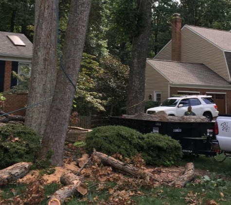 J & B Tree Services - Gaithersburg, MD