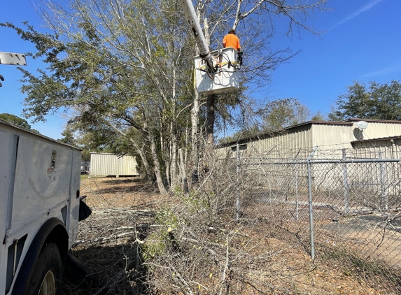 Century Tree and Mulching Service - Leesburg, GA