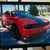 Gallery Image Number 5