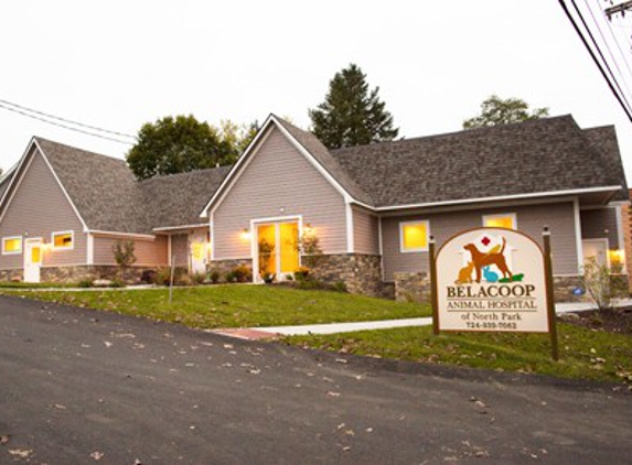 BelaCoop Animal Hospital of North Park - Gibsonia, PA