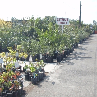 Moneta Nursery Inc. - Gardena, CA