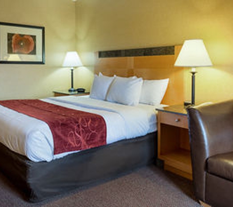 Comfort Suites Southpark - Colonial Heights, VA