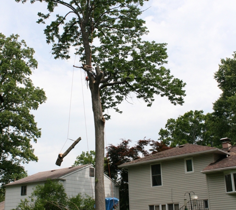 Elite Tree Climbers LLC - Bethlehem, PA