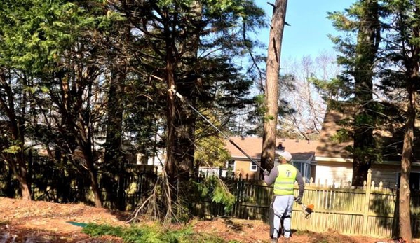 AJ's Tree Removal - Virginia Beach, VA