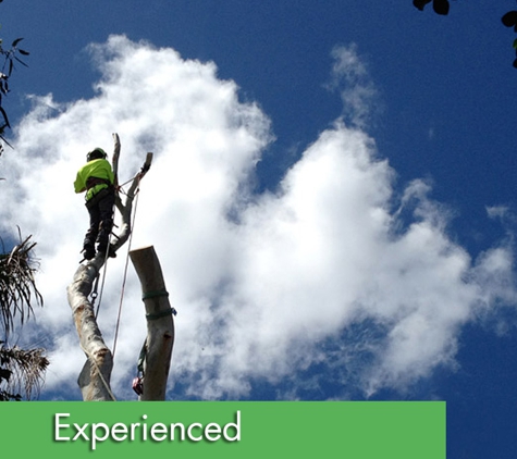 All Coast Tree Services - West Wollongong, NSW