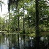 Cypress Gardens gallery