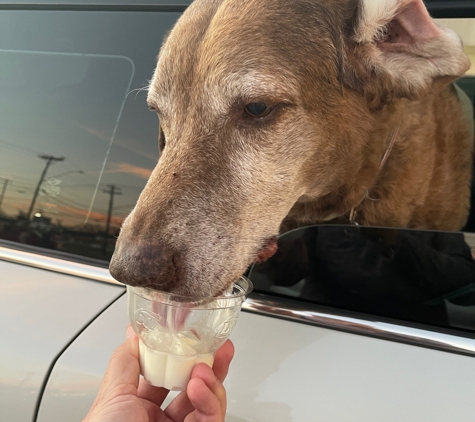 Dairy Queen - Austin, TX