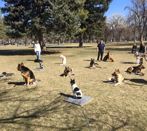 Dog Training Elite Salt Lake City - Salt Lake City, UT