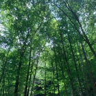 Lamar Alexander Rocky Fork State Park