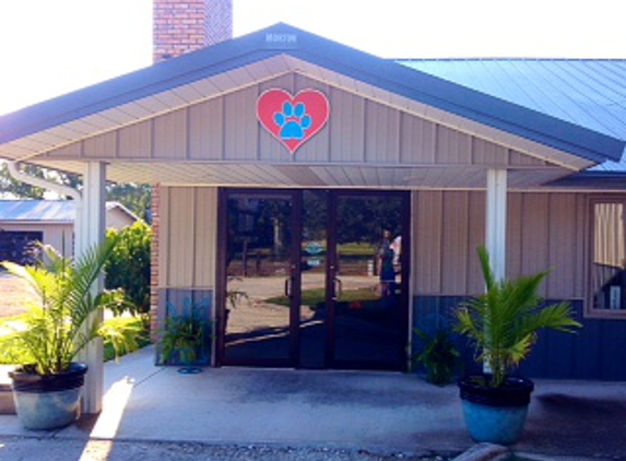 Companion  Care Veterinary Clinic - Lake Charles, LA