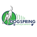Dogspring Training - Dog Training