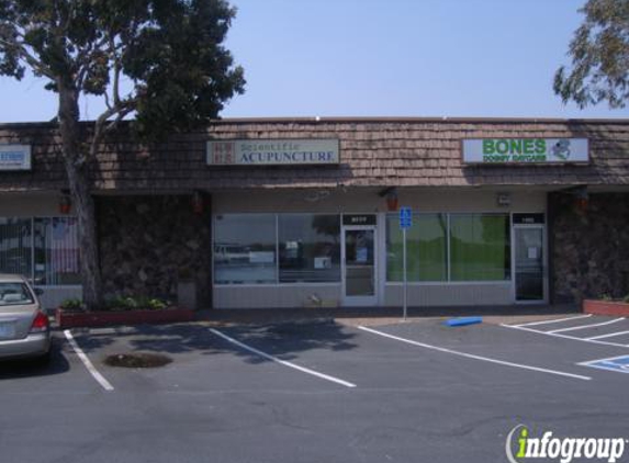 Scientific Acupuncture Center Inc - Foster City, CA