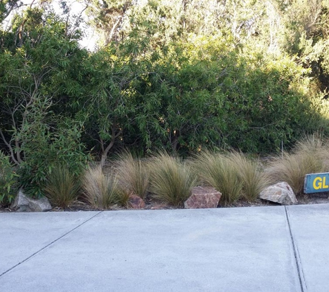 Glenvue Wholesale Nursery - Rye, VIC