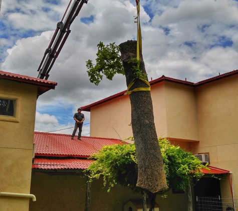 Superior Services Tree Care - Fredericksburg, TX