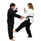 Alpine & Santee Karate Schools