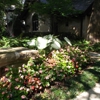 Lothrop's landscape, inc. gallery