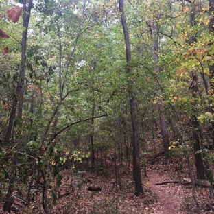 Ruffner Mountain - Birmingham, AL