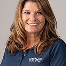 Carole Johnson - GEICO Insurance Agent - Insurance