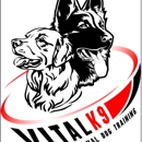 Vital K9 Training & Boarding - Pet Boarding & Kennels