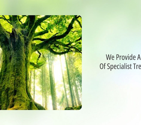 Tree Safe Solutions - Keilor East, VIC. We Provide All Types Of Specialist Tree Pruning