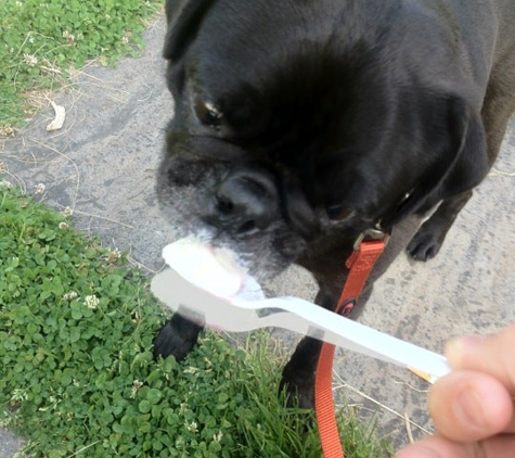 Lake Effect Ice Cream - Lockport, NY