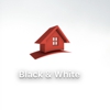 Black & White Roofing gallery