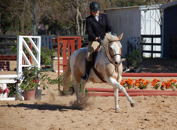 Southern Breeze Equestrian Center - Fresno, TX