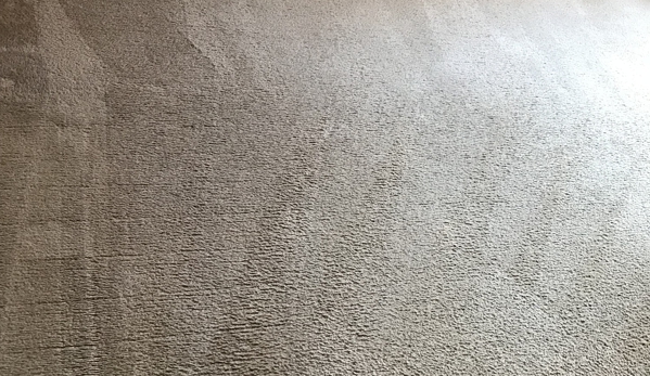 Amazing Carpet & Upholstery Cleaning