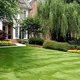 Bear Creek Lawn Services