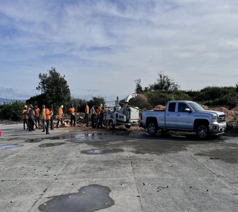 Buena Vista Tree Service - Livermore, CA